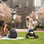 Nuna TRIV Next Pushchair - Chateau - Image 12