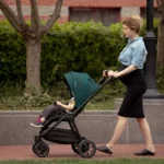 Nuna TRIV Next Pushchair - Chateau - Image 13