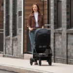 Nuna TRIV Next Pushchair - Pistachio - Image 10